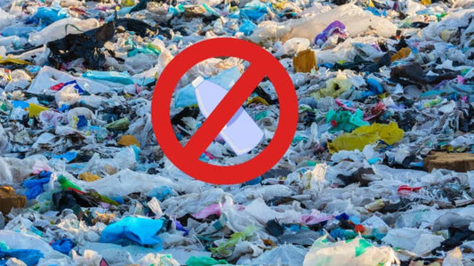 Quelles sont les causes de la pollution plastique ?